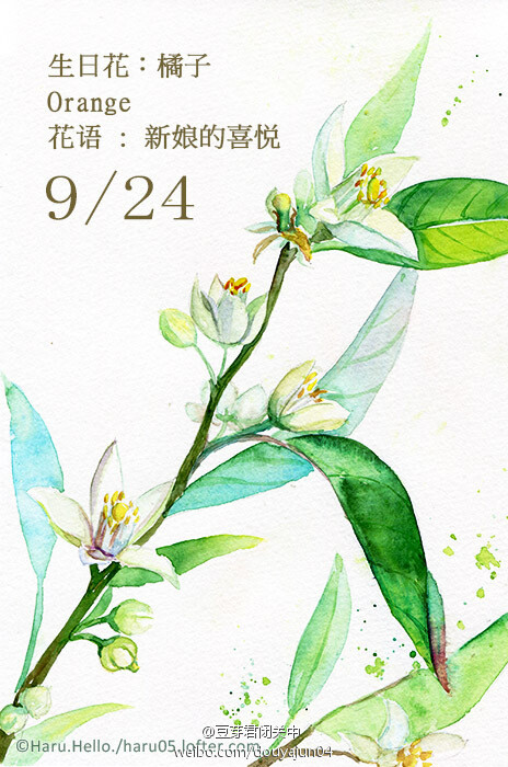 milan米兰app官网