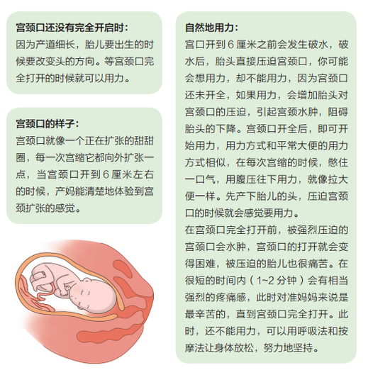 milan米兰app官网