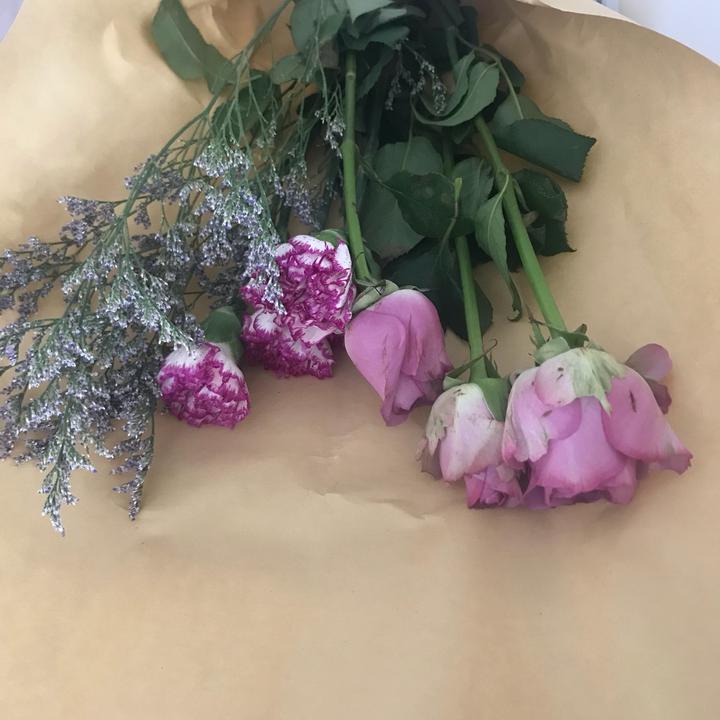 milan米兰app官网