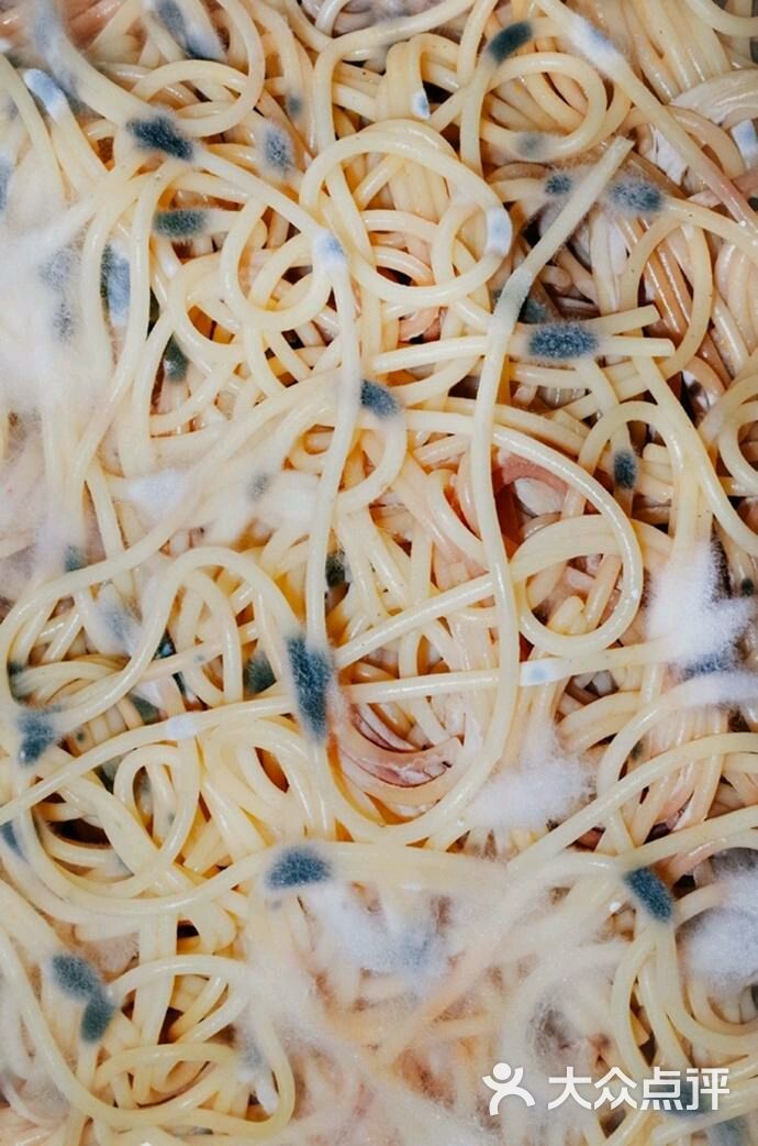 milan米兰app官网